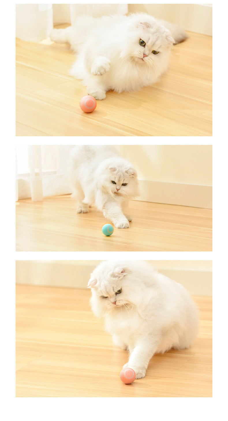 Intelligent Pet Rolling Ball
