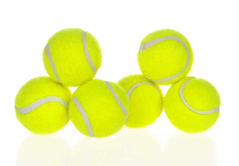Pet Interactive Ball Launcher